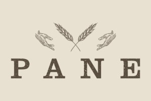 Pane