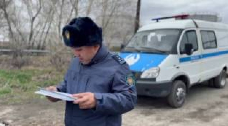 2 недели не могут найти пропавших брата и сестру в Семее