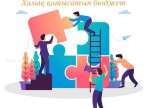 Бюджет народного участия