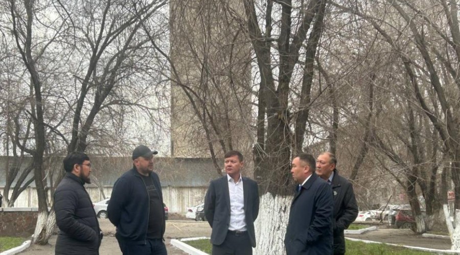 В этом году в городе появятся «сквер врачей» и «сквер спасателей»