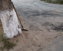 Говорят, чтобы больше не записывались: на личный прием к акиму не пускали руководителей нескольких КСК Семея