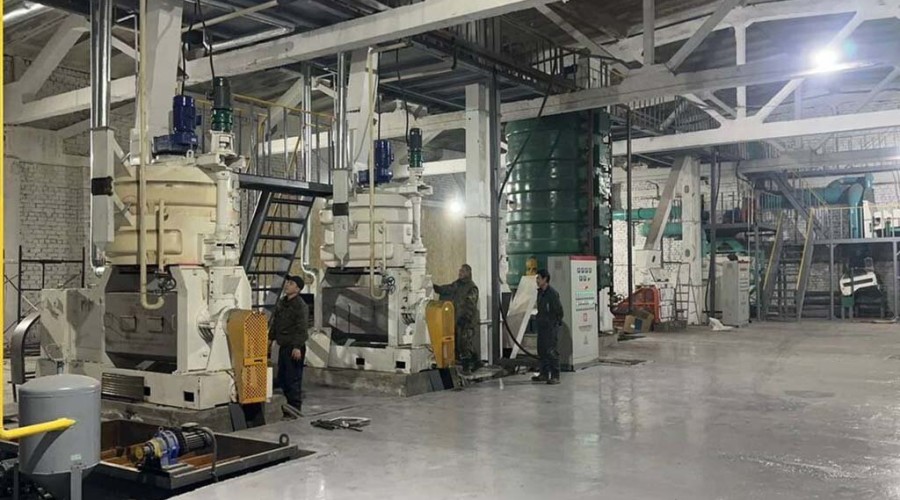 Made in Semey: В Семее открыт завод по производству растительного масла
