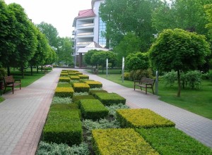 Объявлены тендеры на благоустройство города.