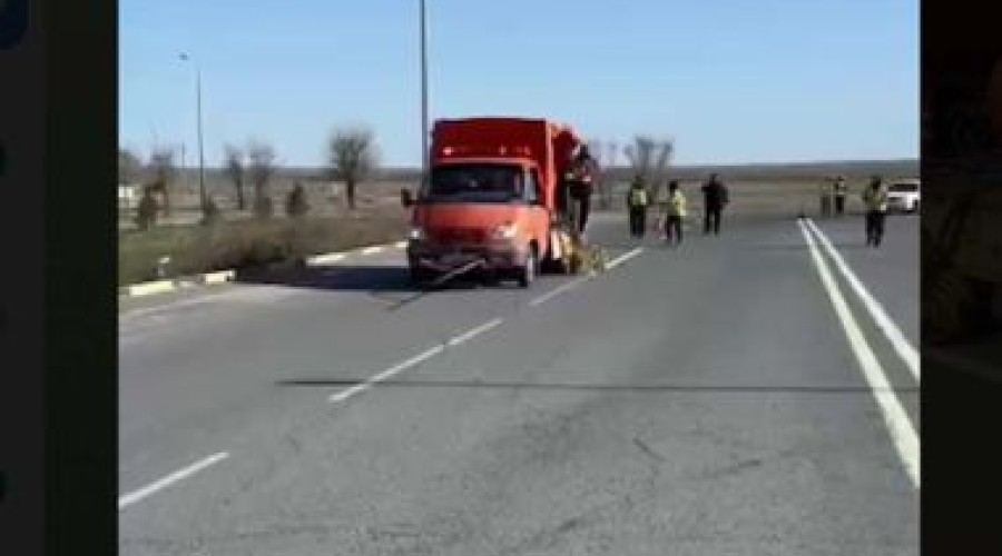 Дорожную разметку начали наносить в Семее