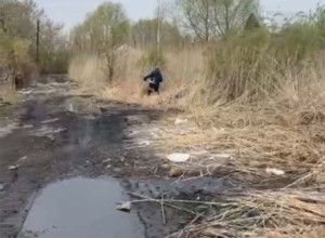 В рамках пожарной безопасности в Семее косят камыш