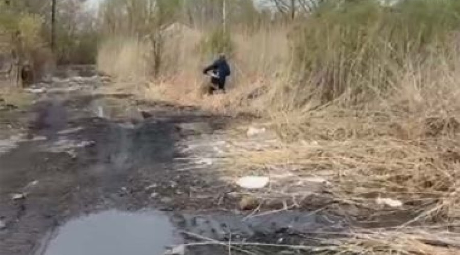 В рамках пожарной безопасности в Семее косят камыш