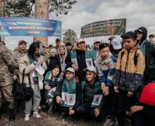 В Семее высажено более 23 тысяч саженцев сосны  